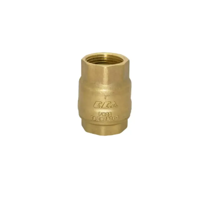 YAYLI DİK ÇEKVALF 1 1/2"