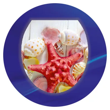 Desenli